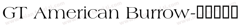 GT American Burrow字体转换